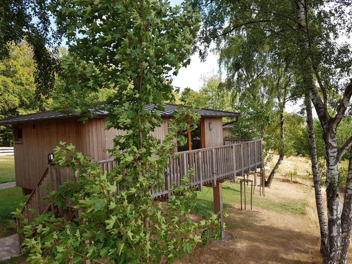 Hotel Waldquelle - Baumhaushotel Aerzen Exteriér fotografie