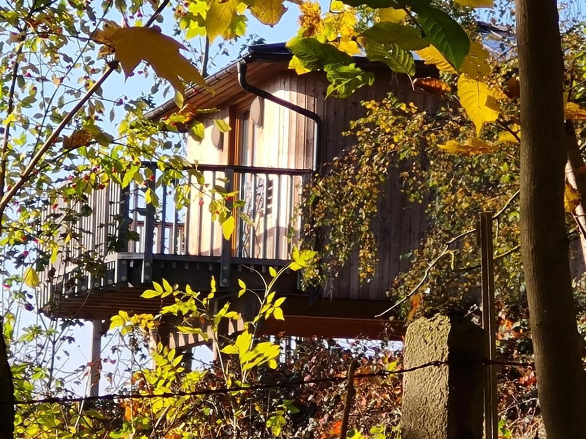 Hotel Waldquelle - Baumhaushotel Aerzen Exteriér fotografie