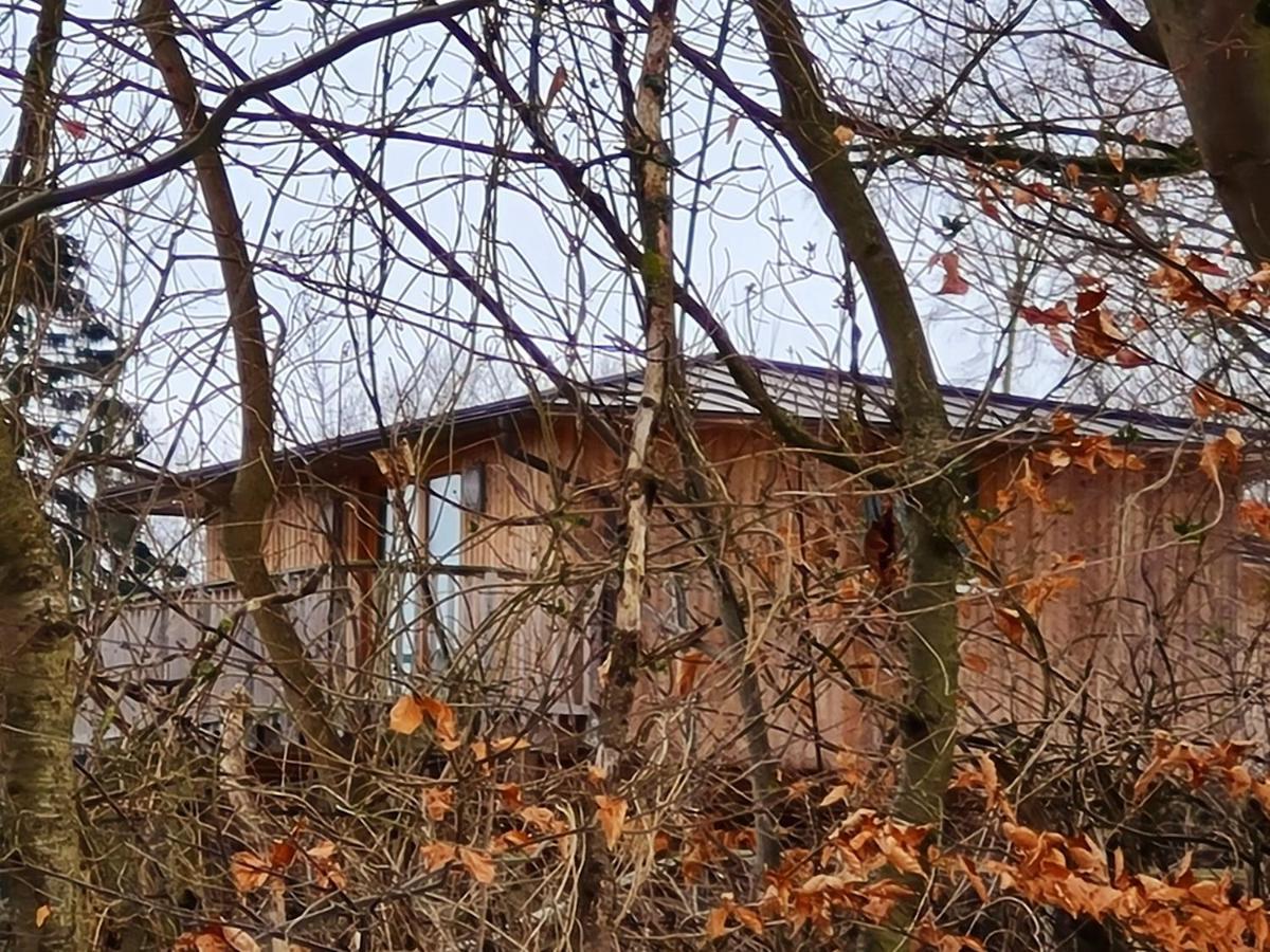Hotel Waldquelle - Baumhaushotel Aerzen Exteriér fotografie